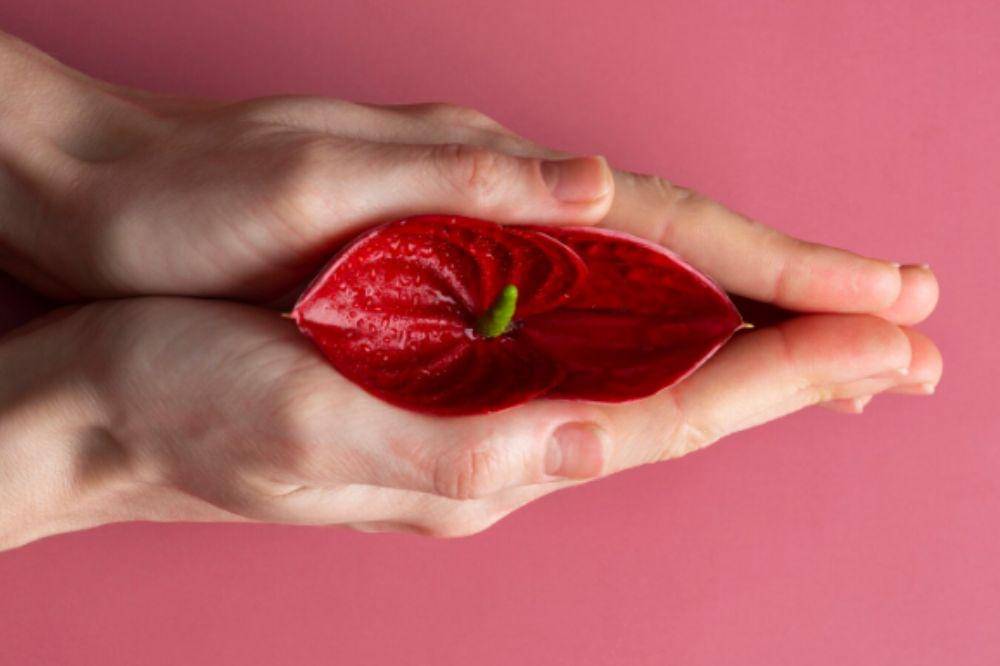 Meisya Siregar Alami Penebalan Dinding Rahim, Apa Penyebabnya?