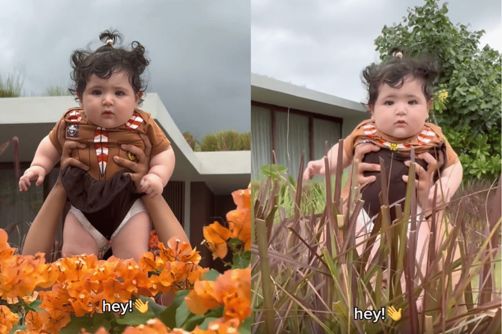 Instagram.com/inijedar