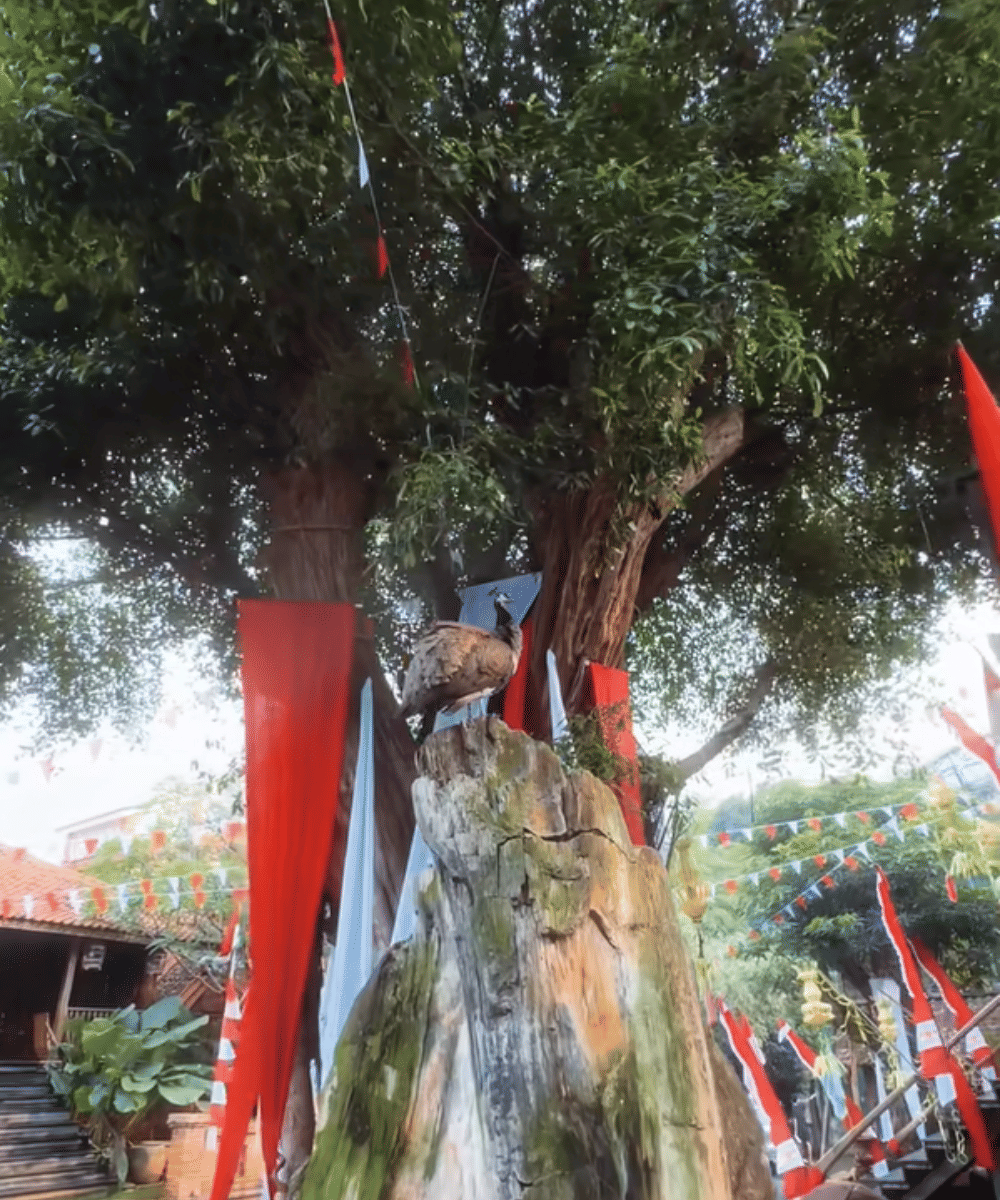 7 Foto Dekorasi 17 Agustus di Rumah Irfan Hakim, Megah dan Asri 7.png