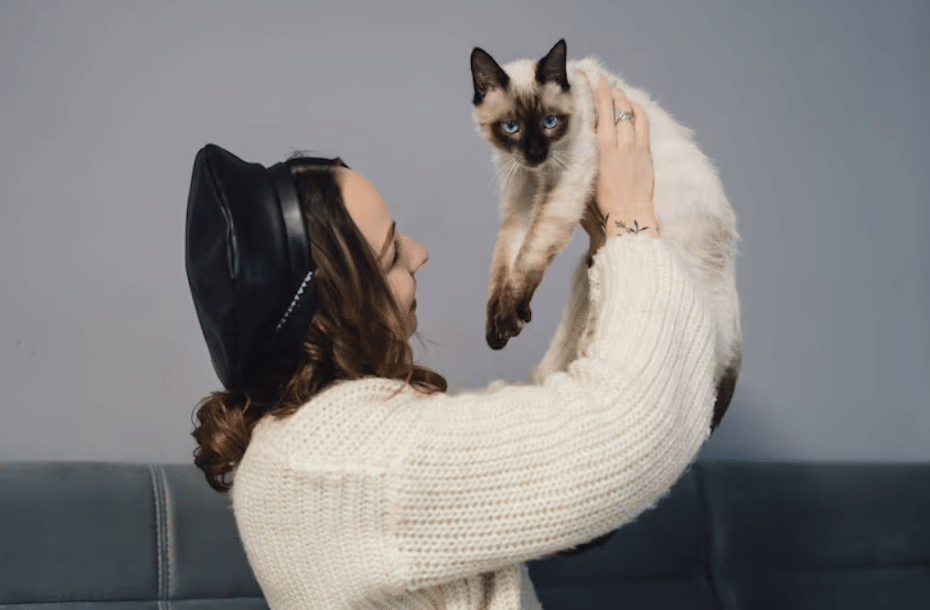 7 Manfaat Memelihara Kucing Bagi Kesehatan Mental