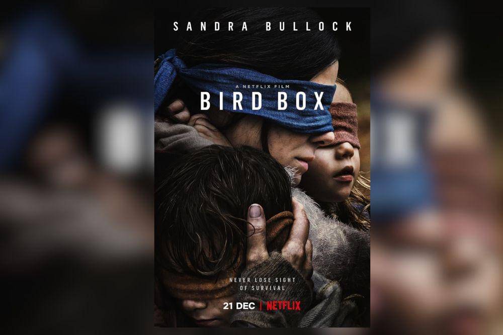 Bird Box