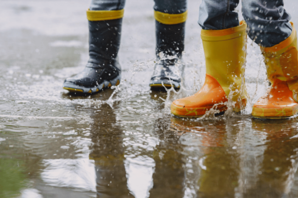 Bahaya Leptospirosis, Penyakit yang Disebabkan Kencing Tikus