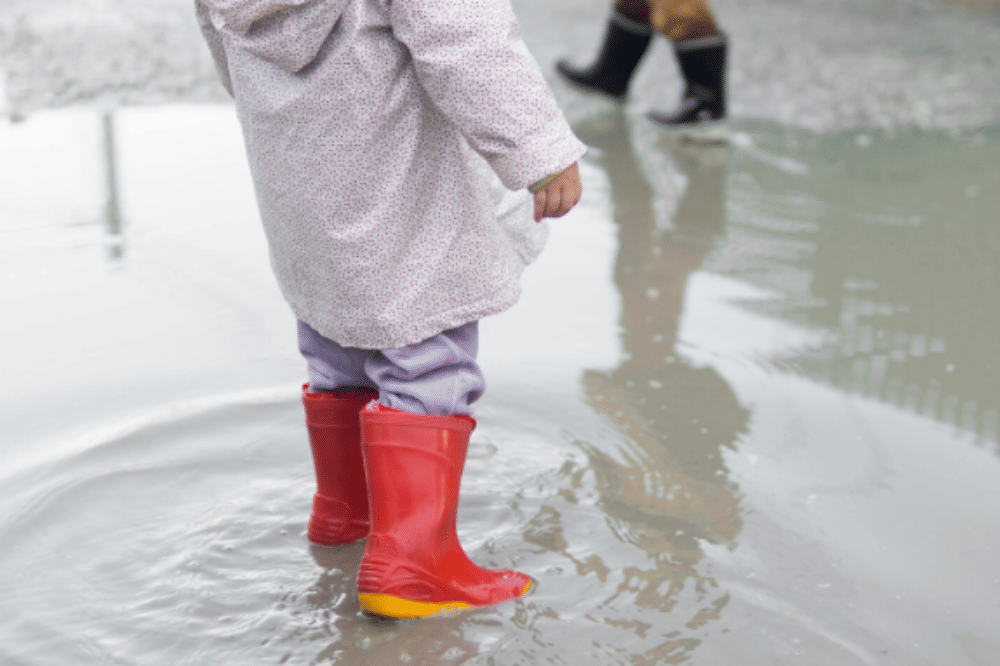 Bahaya Leptospirosis, Penyakit yang Disebabkan Kencing Tikus