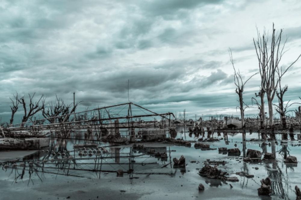 Bahaya Leptospirosis, Penyakit yang Disebabkan Kencing Tikus