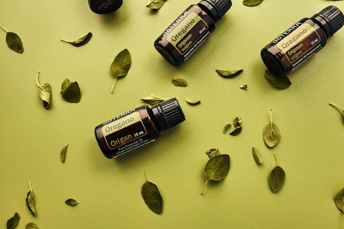 ilustrasi minyak oregano