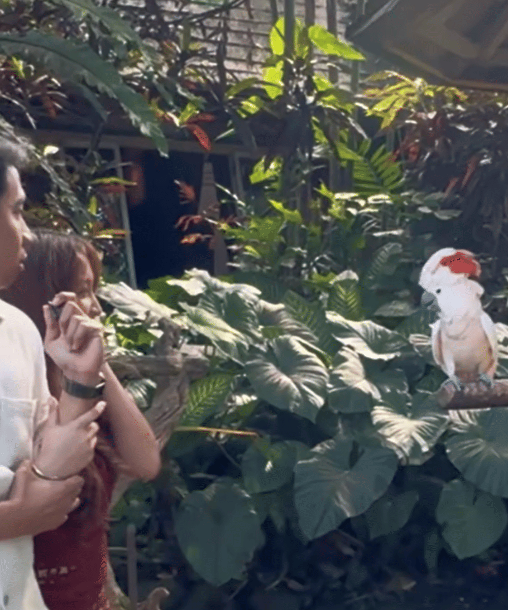 Foto Rumah Antonio Blanco di Ubud