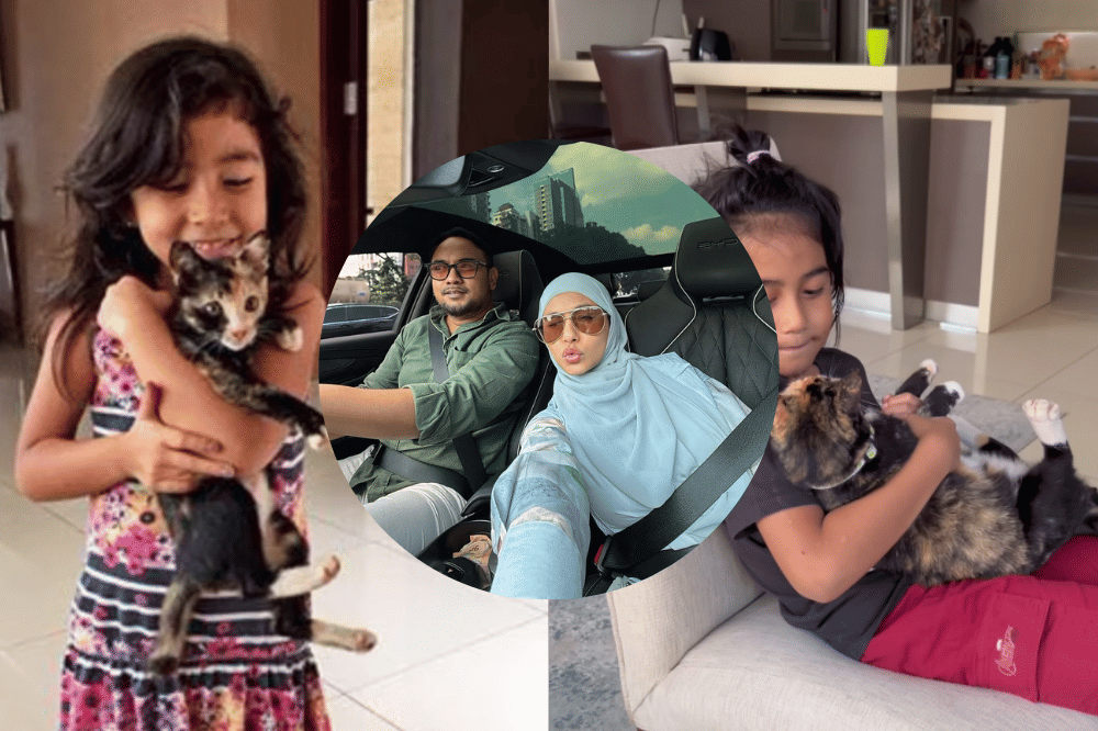 Meisya Siregar ceritakan tragedi kucing peliharaannya terlindas mobil