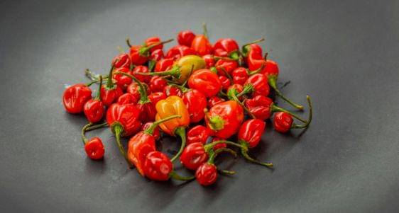 Desain tanpa judul(6).jpg