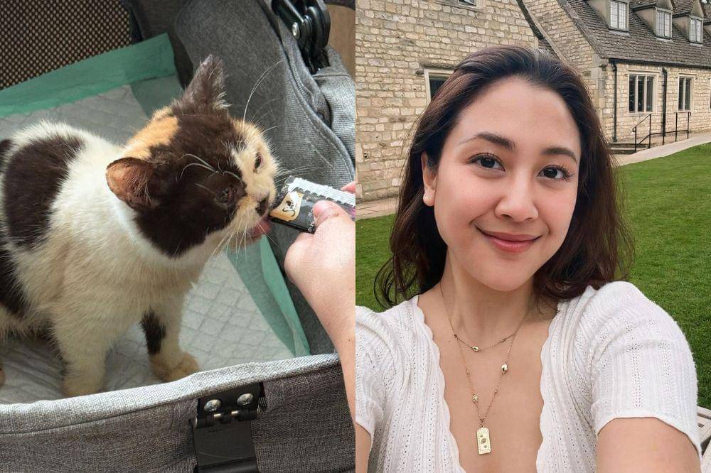 sherina munaf selamatkan kucing uya kuya