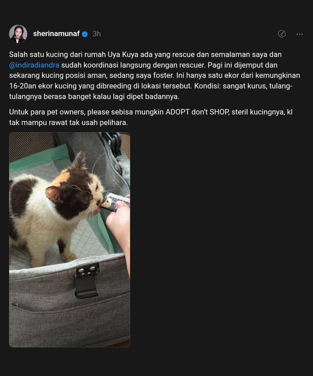 sherina munaf selamatkan kucing uya kuya