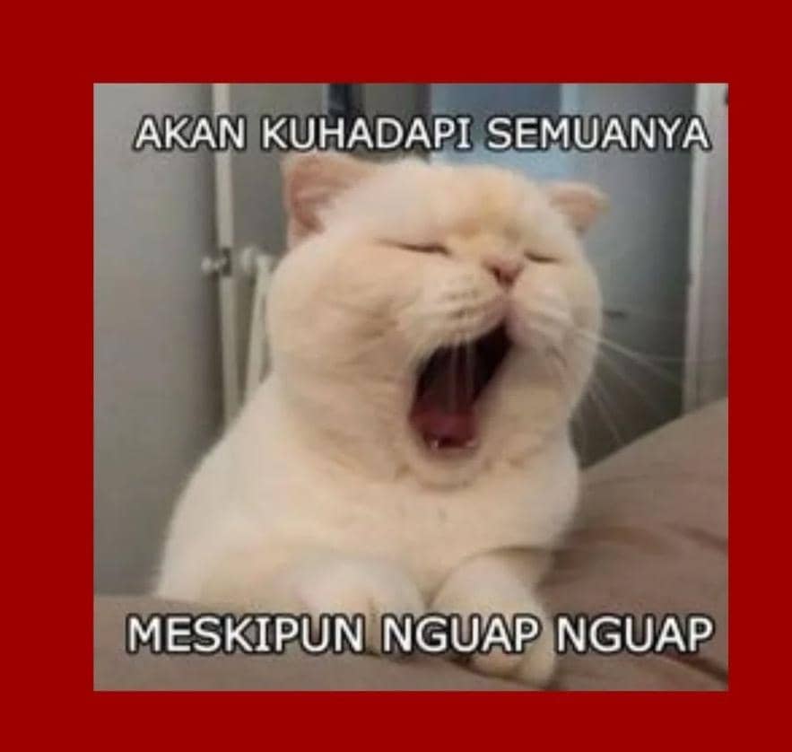Baru sampai kantor, mata sudah minta pulang