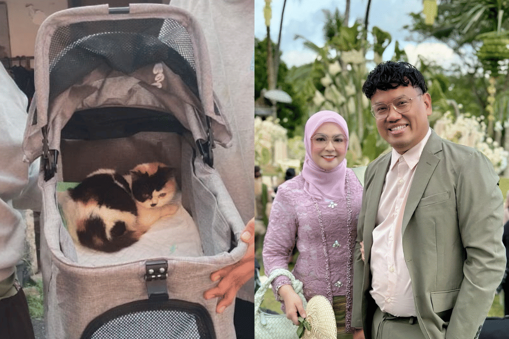 Fakta Kucing Uya Kuya