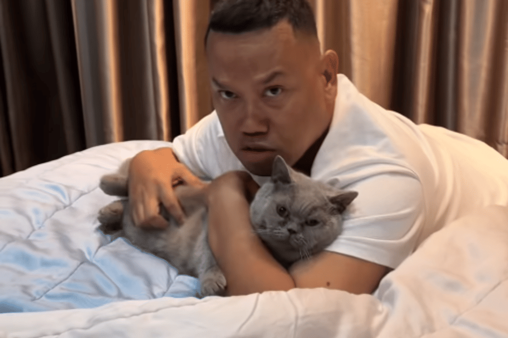 Fakta Kucing Uya Kuya