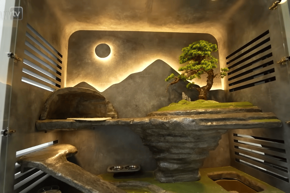 Foto Spot Tanaman di Rumah Rachel Vennya