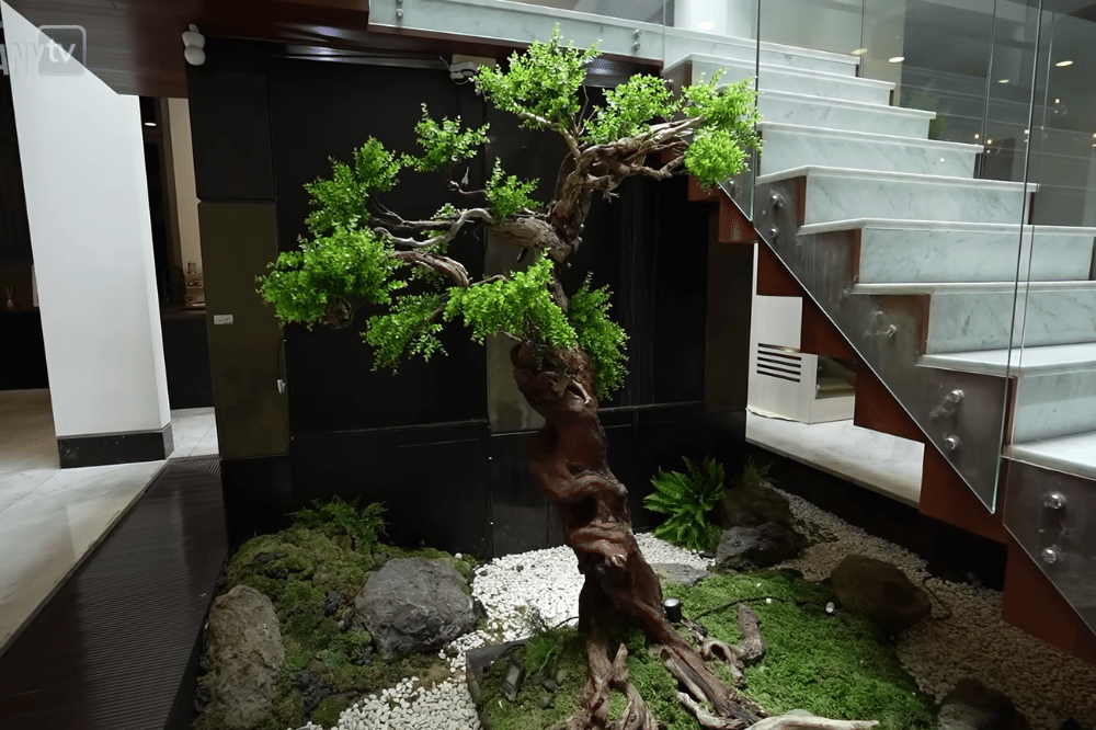 Foto Spot Tanaman di Rumah Rachel Vennya