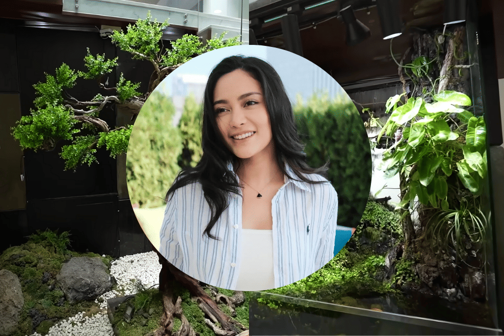 Foto Spot Tanaman di Rumah Rachel Vennya
