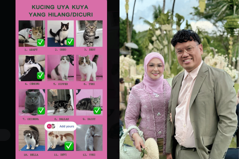 Nama-nama Kucing yang hilang 