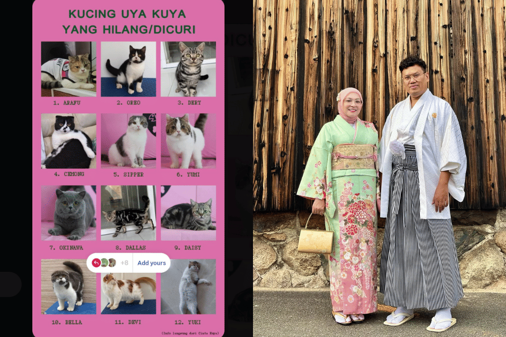 Nama Kucing Uya Kuya yang Jadi Korban Penjarahan