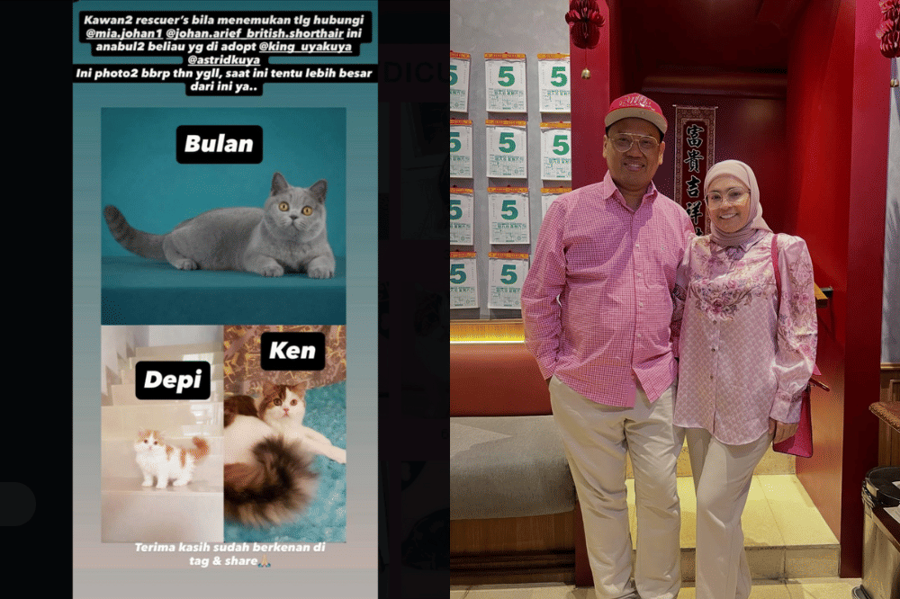 Nama-nama Kucing yang hilang 3 