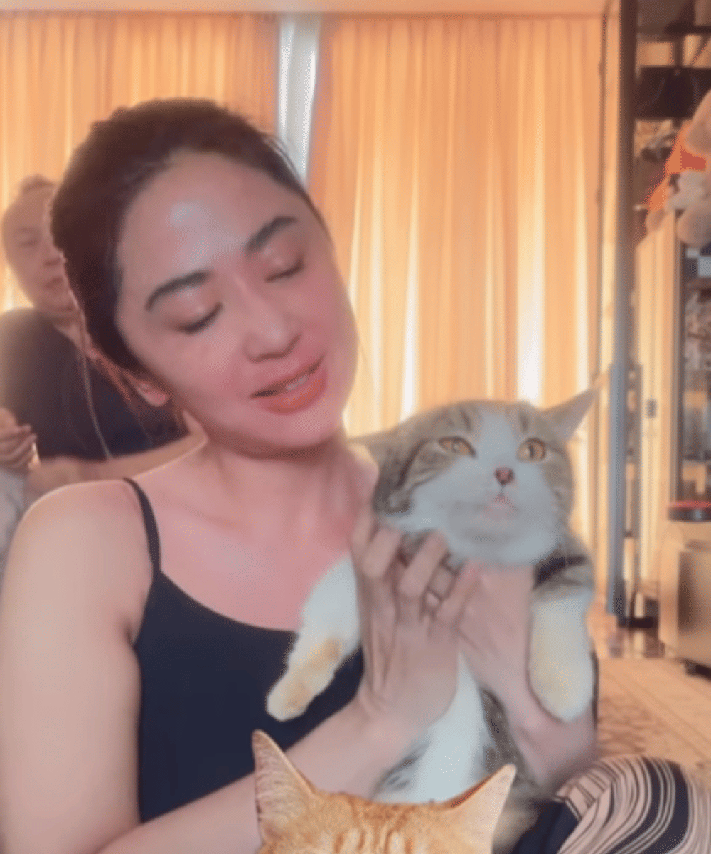 Dewi Perssik Rawat Satu Kucing Eko Patrio 
