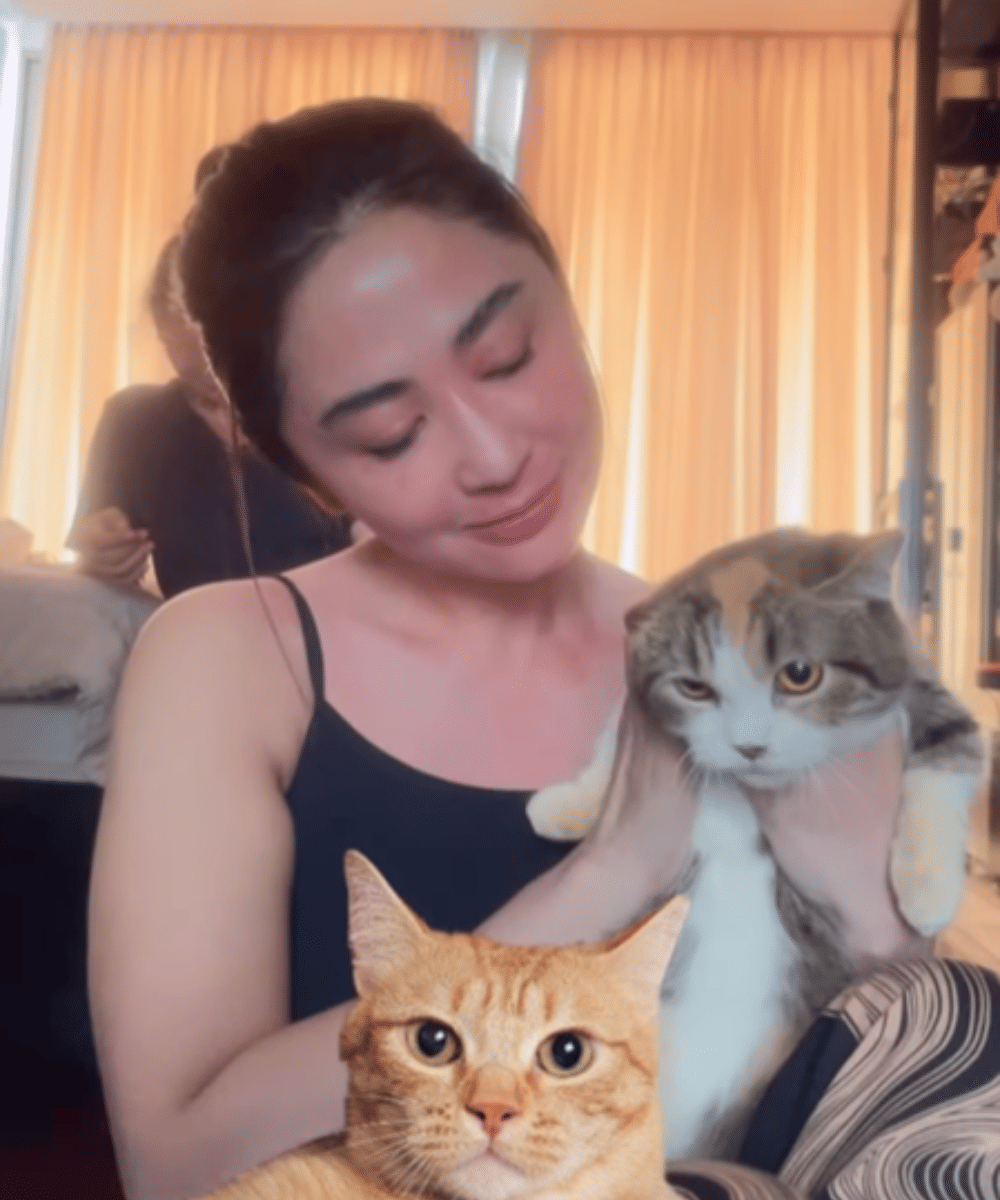 Dewi Perssik Rawat Satu Kucing Eko Patrio 
