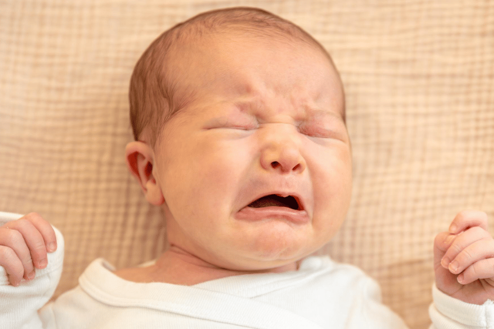 Freepik/pvproductions