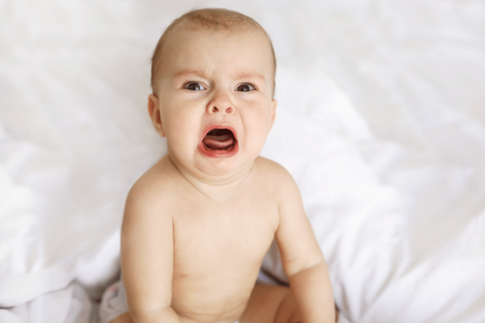 Freepik/cookie_studio