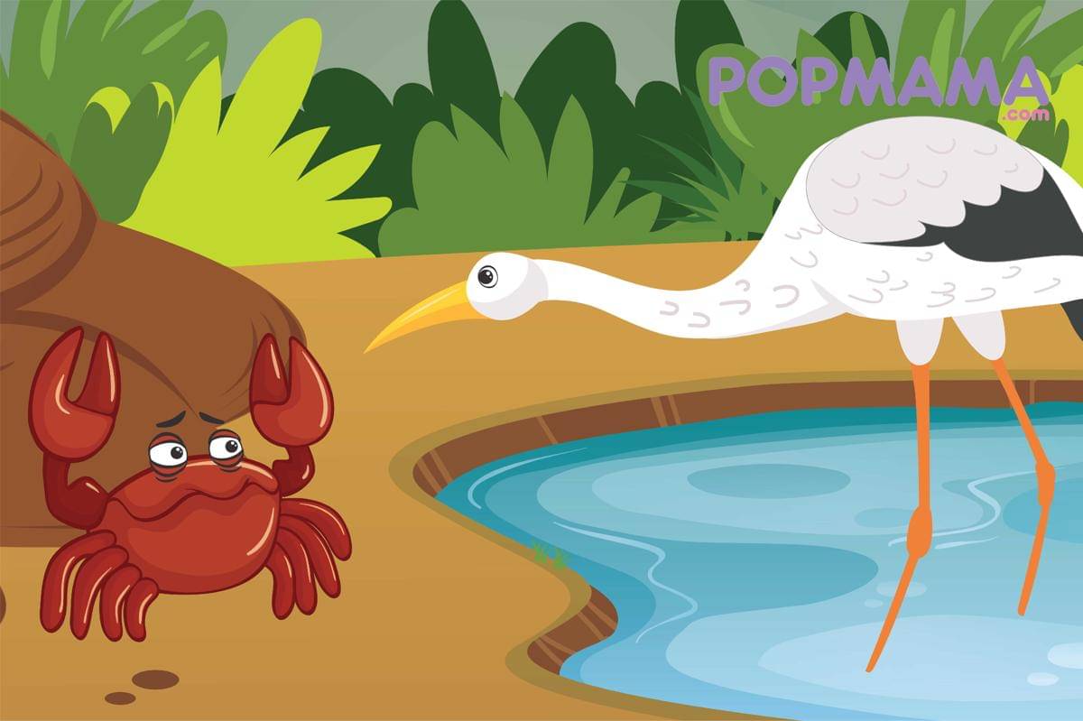 Dongeng Bangau dan Kepiting