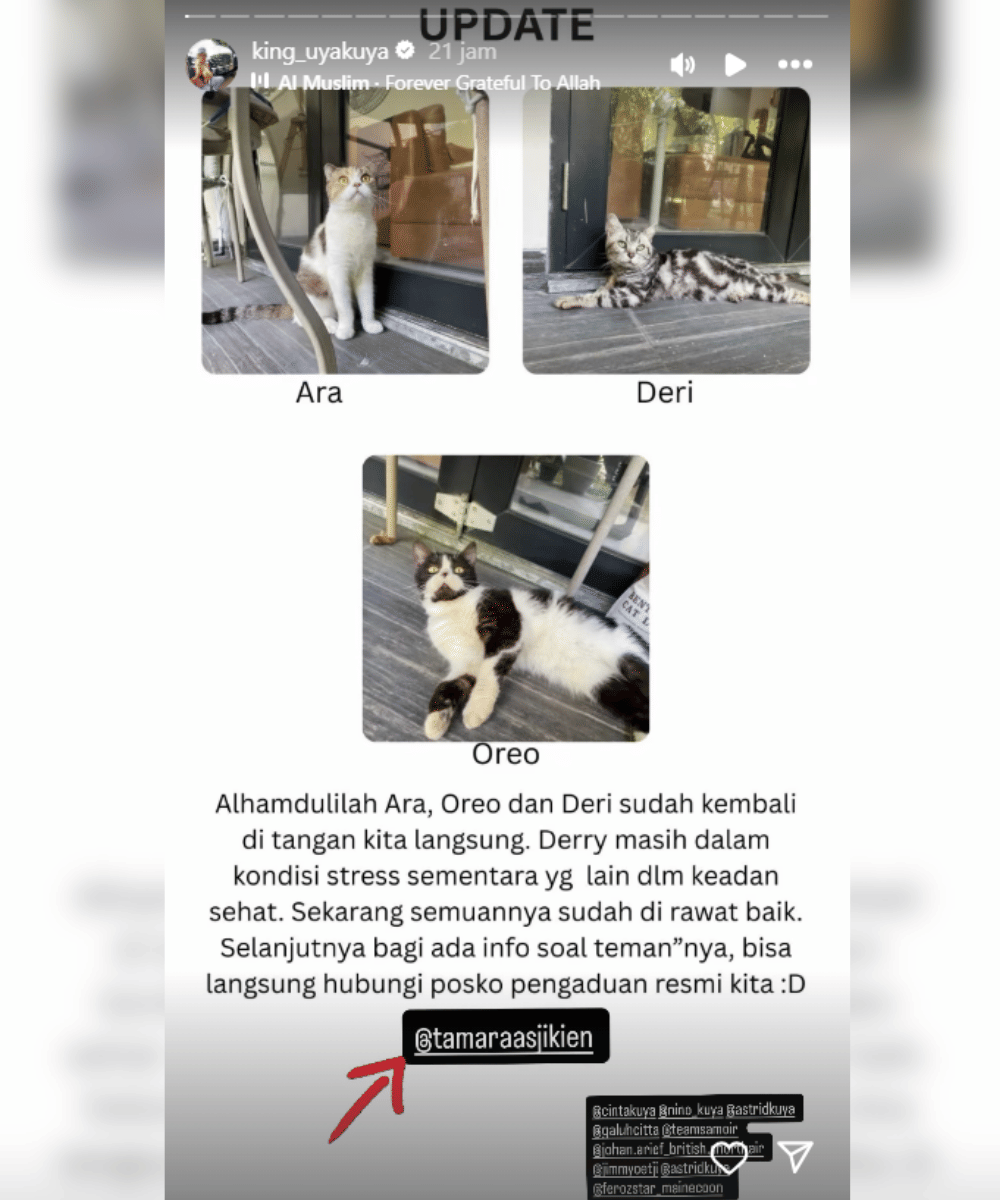 Uya Kuya Cari Kucingnya yang Hilang usai Rumah Dijarah