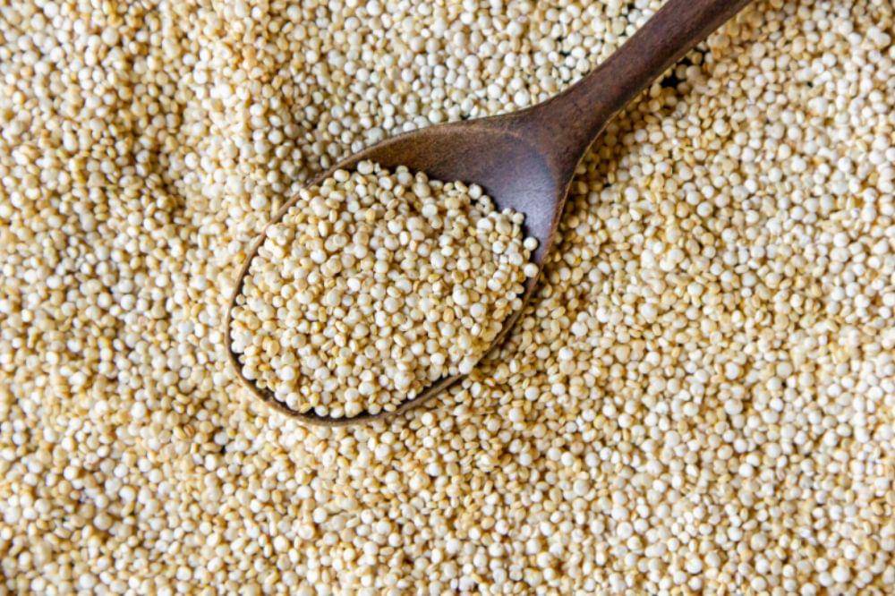 7 Makanan Penyubur Rahim yang Kaya Nutrisi untuk Promil