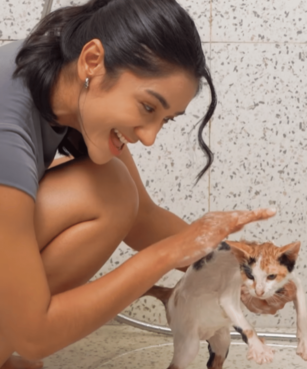 7 Foto Fanny Ghassani Memandikan Kucing