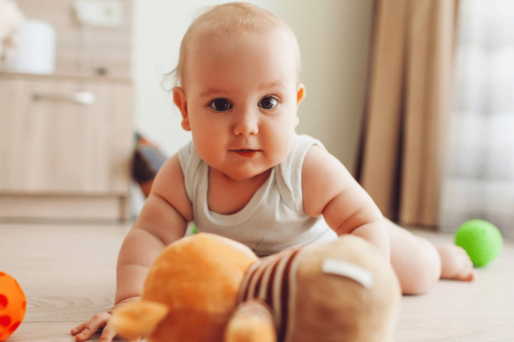 Pinterest.com/scristinaguimaraes