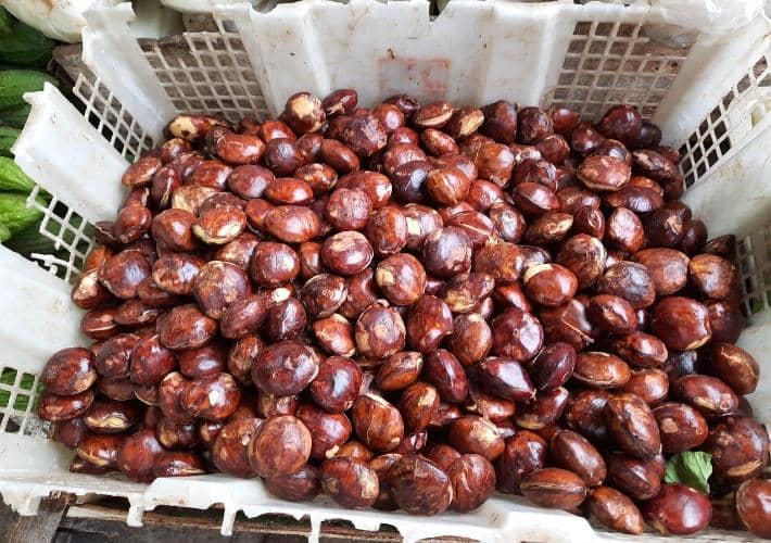 Jengkol, Keluak, dan Singkong Ternyata Punya “Racun” Alami, Ini Faktanya!