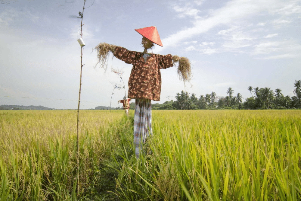 7 Kata Gabungan dalam Bahasa Inggris, Anak Wajib Tahu!