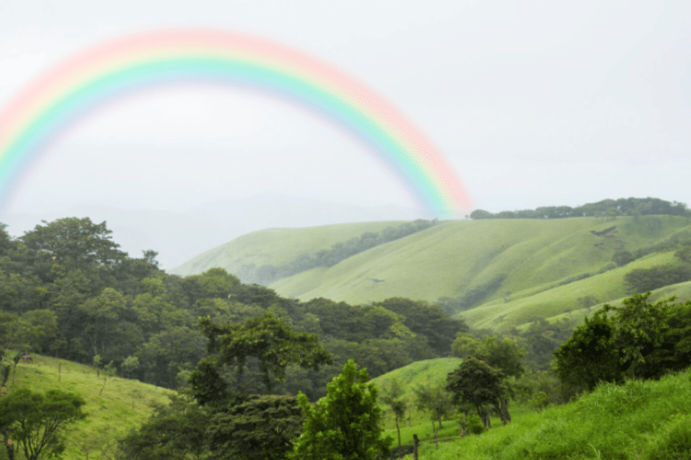 7 Kata Gabungan dalam Bahasa Inggris, Anak Wajib Tahu!