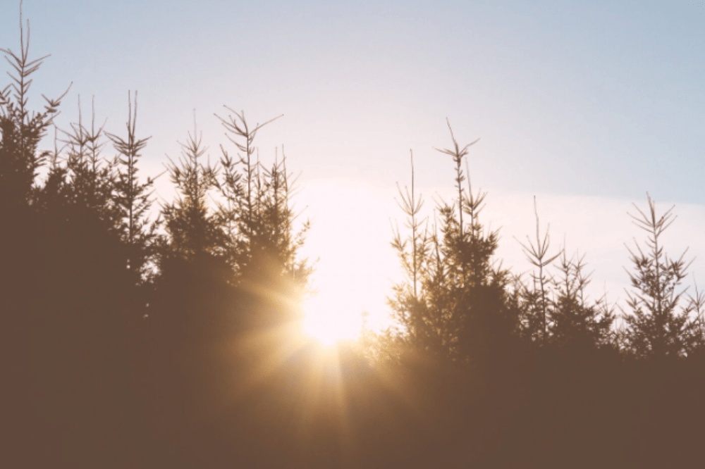 7 Kata Gabungan dalam Bahasa Inggris, Anak Wajib Tahu!