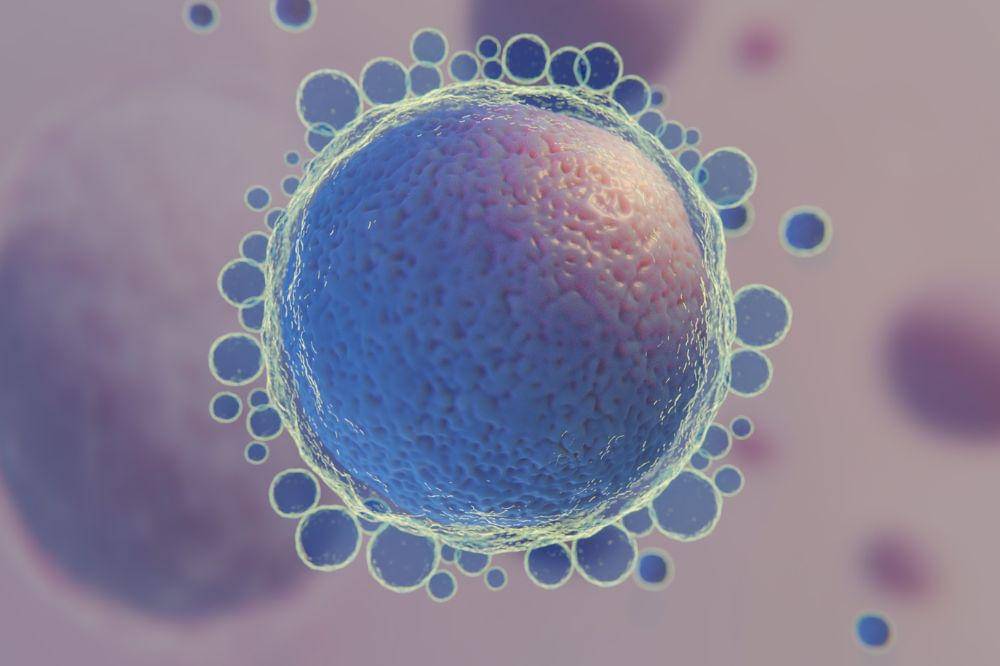 Chip Getar, Inovasi Baru untuk Bantu Meningkatkan Kesuburan