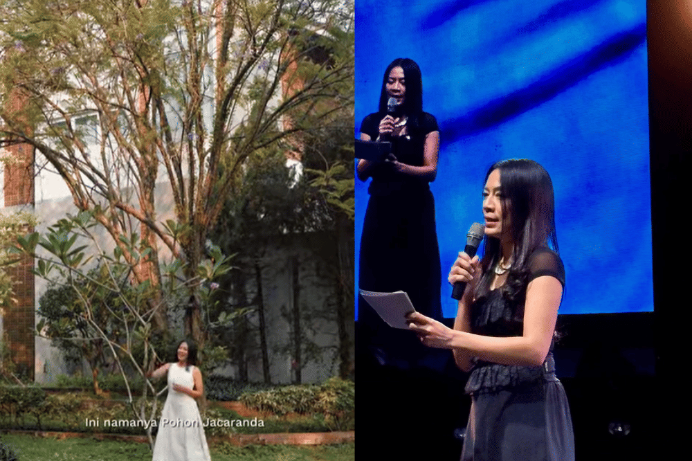 Apa Itu Pohon Jacaranda yang Ditanam Dee Lestari 3.png