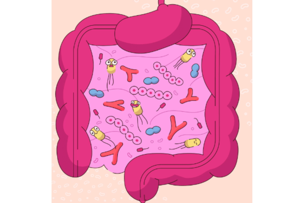 Kurang Asupan Sayur Bisa Picu Kanker Usus pada Anak, Simak Faktanya!