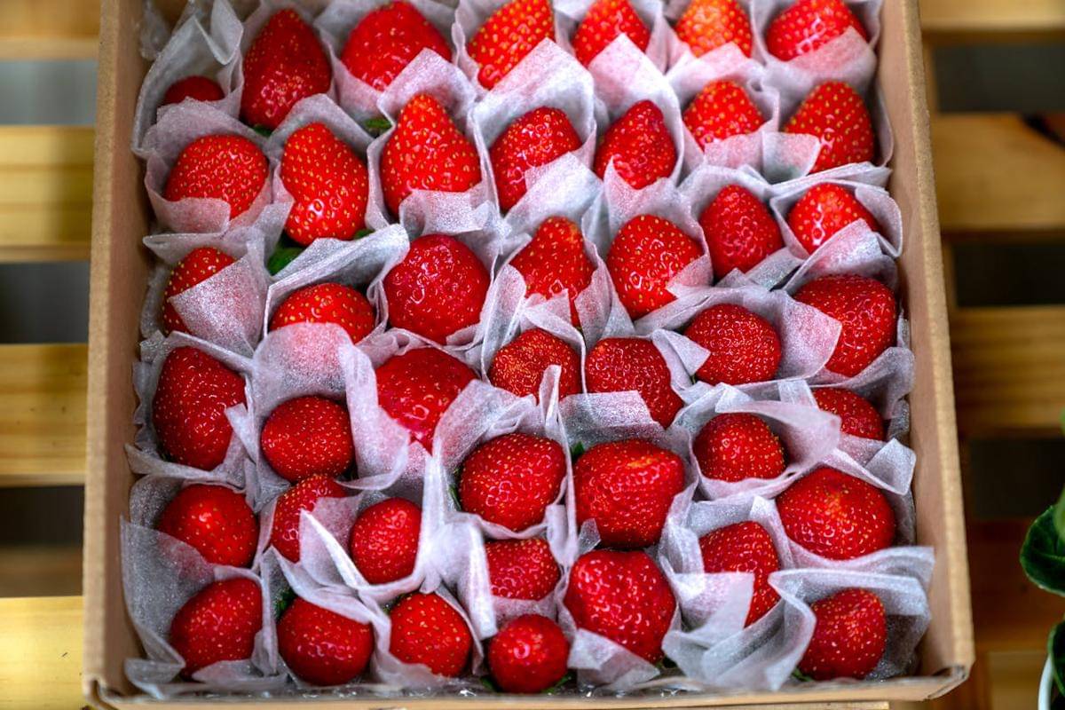 Kandungan Stroberi untuk Kesehatan Ibu Hamil