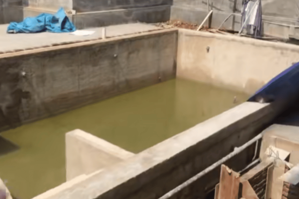 Foto Rumah Baru Tasya Farasya yang Tidak Kunjung Selesai