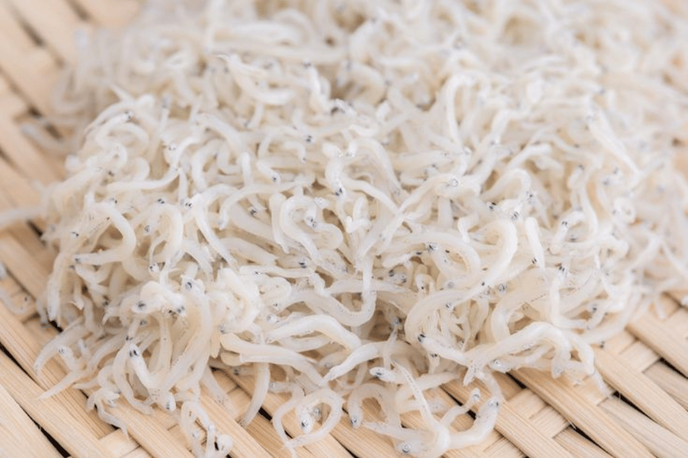 Pinterest.com/tmk09014419938