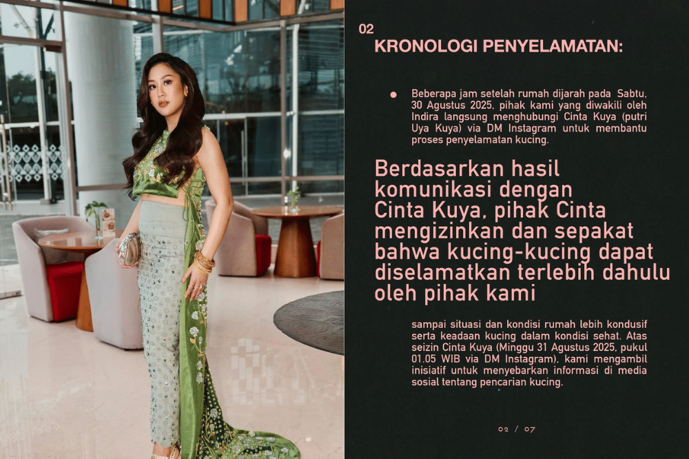 Diizinkan Cinta, Ini Kronologi Sherina Menyelamatkan Kucing Uya Kuya.png