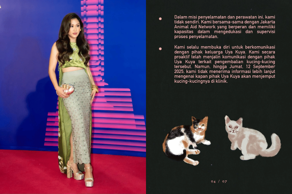 Diizinkan Cinta, Ini Kronologi Sherina Menyelamatkan Kucing Uya Kuya.png