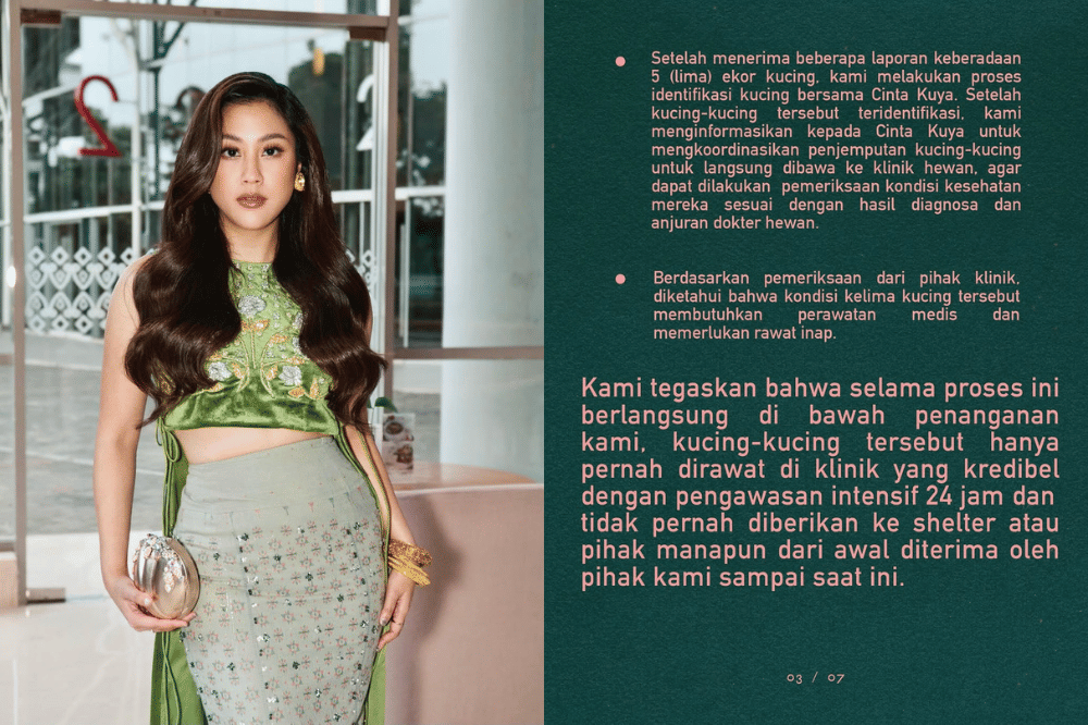 Diizinkan Cinta, Ini Kronologi Sherina Menyelamatkan Kucing Uya Kuya.png