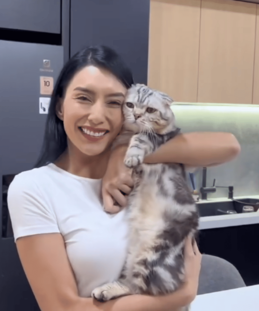 Fakta Tyas Mirasih Pelihara 23 Kucing di Rumah