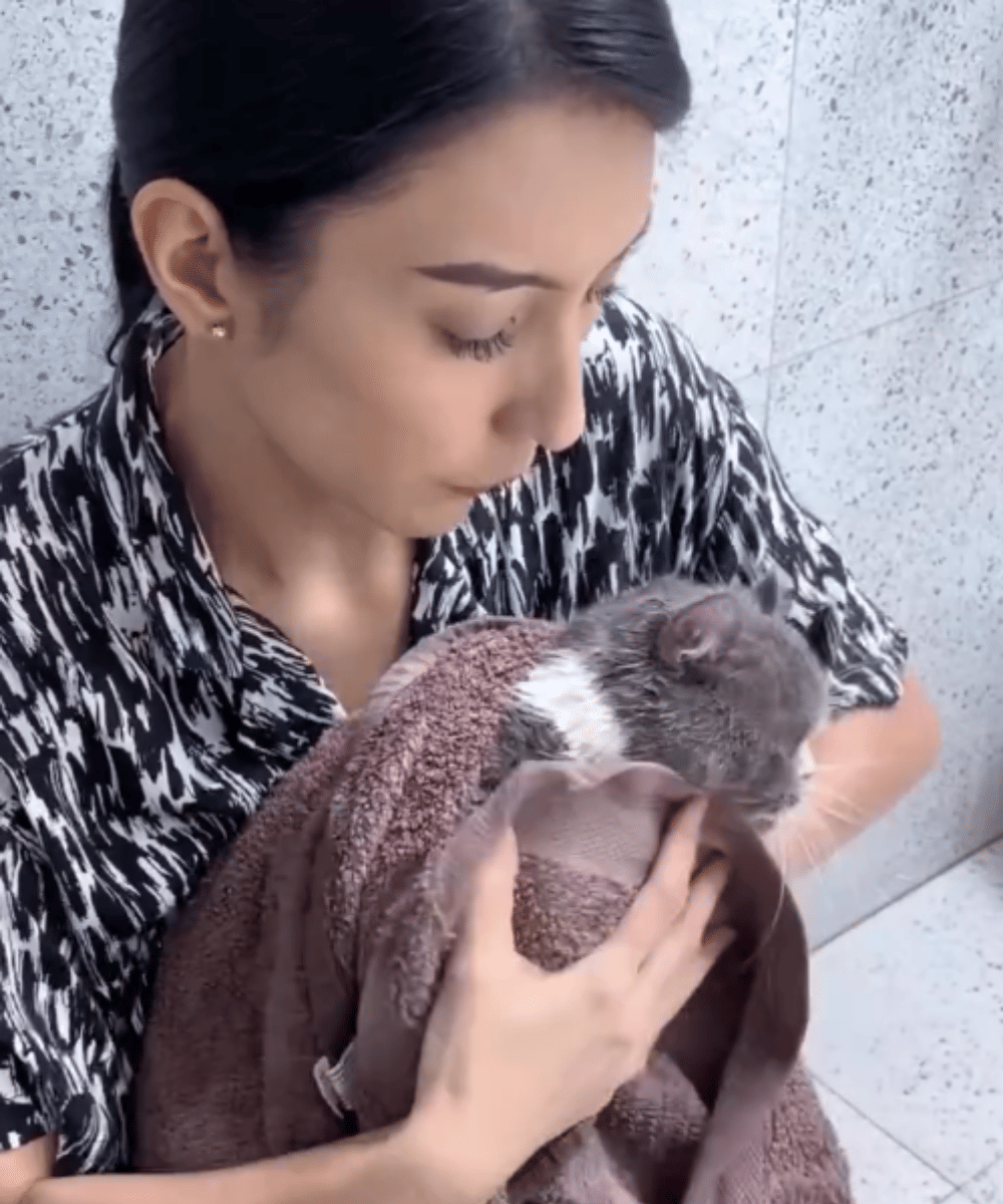 Fakta Tyas Mirasih Pelihara 23 Kucing di Rumah