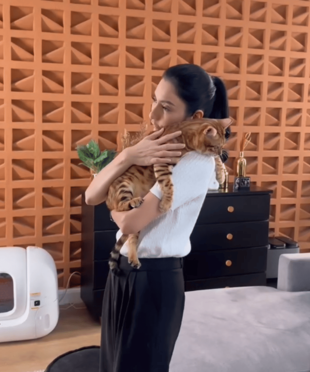 Fakta Tyas Mirasih Pelihara 23 Kucing di Rumah