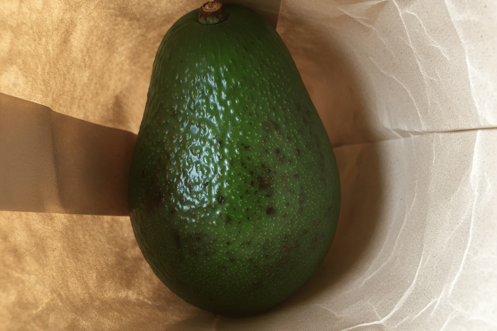 Cara Menyimpan Alpukat agar Cepat Matang