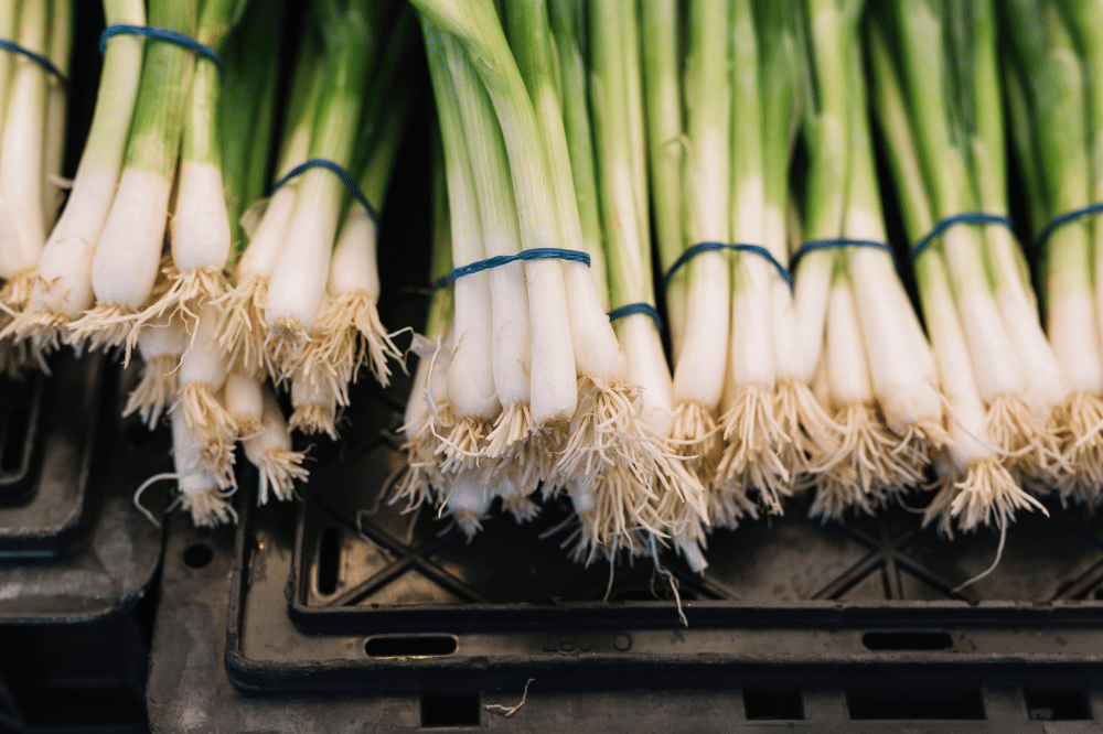 Cara Menyimpan Daun Bawang agar Awet